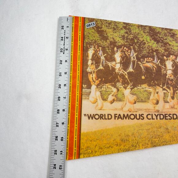 Busch Gardens VINTAGE Felt Pennant Large 30" x 11.5" Williamsburg Clydesdales - Picture 5 of 9